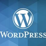 批量删除WordPress指定类别文章